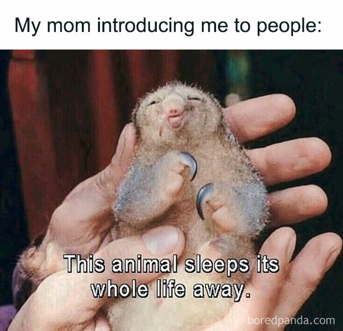 Introvert-Feels-Memes