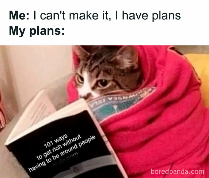 Introvert-Feels-Memes