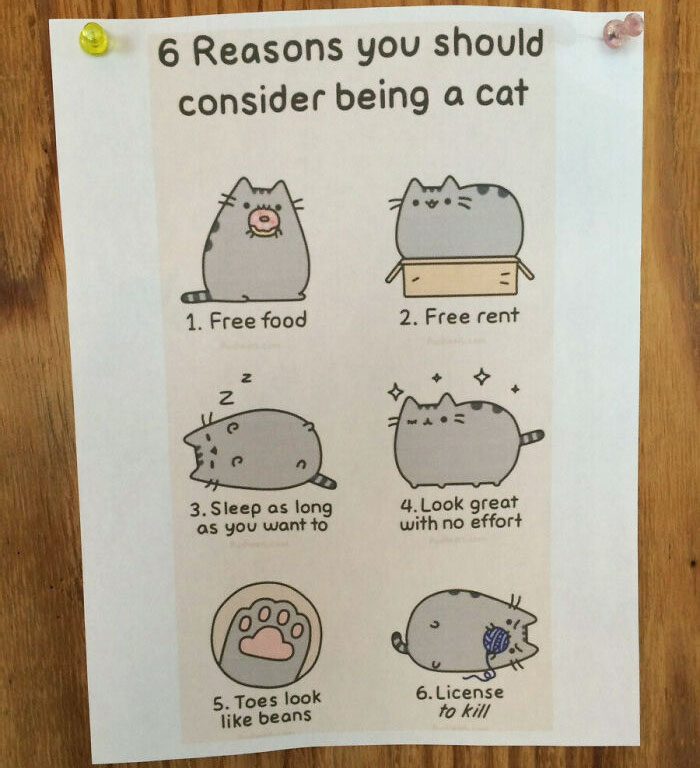 I Found This At My Host Family's House In Japan