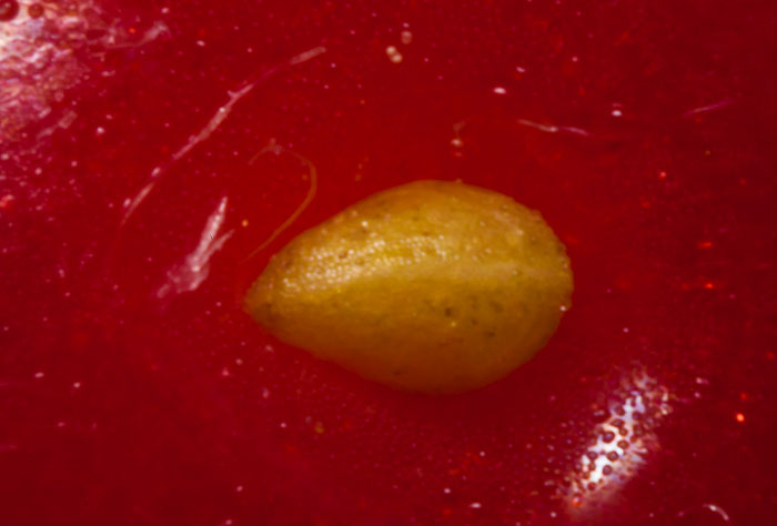 "Hoy aprendí": 25 nuevos e interesantes datos que no son de dominio público