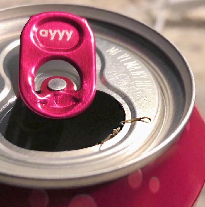 A Second Glance Saved Me From Living A Nightmare Tonight