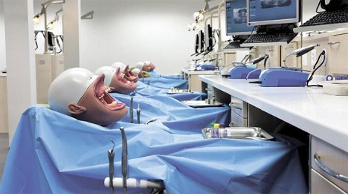 Dental Mannequins Are Kind Of Terrifying