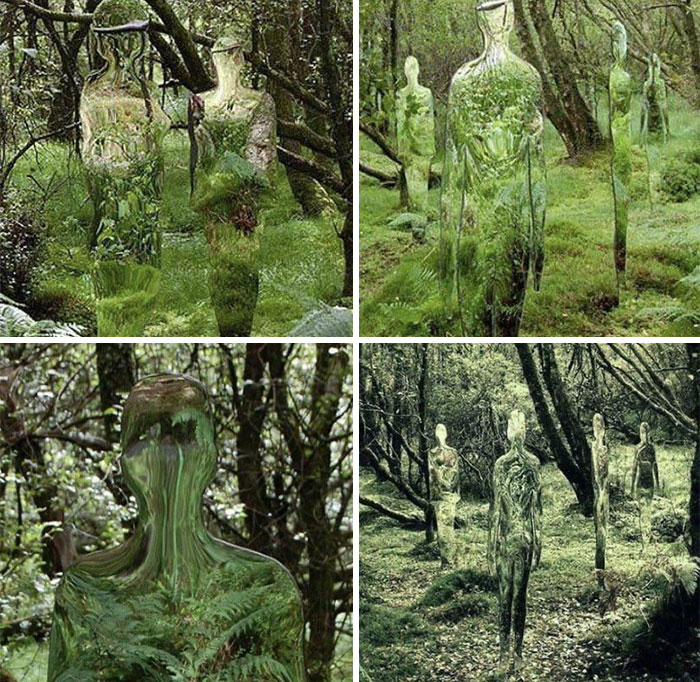 Mirror Sculptures Reflect The Forest By Scottish Artist Rob Mulholland
