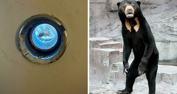 “Scary Enough To Increase Your Heart Rate”: 50 Photos That Are Truly Unsettling, As Shared In This Popular Online Group