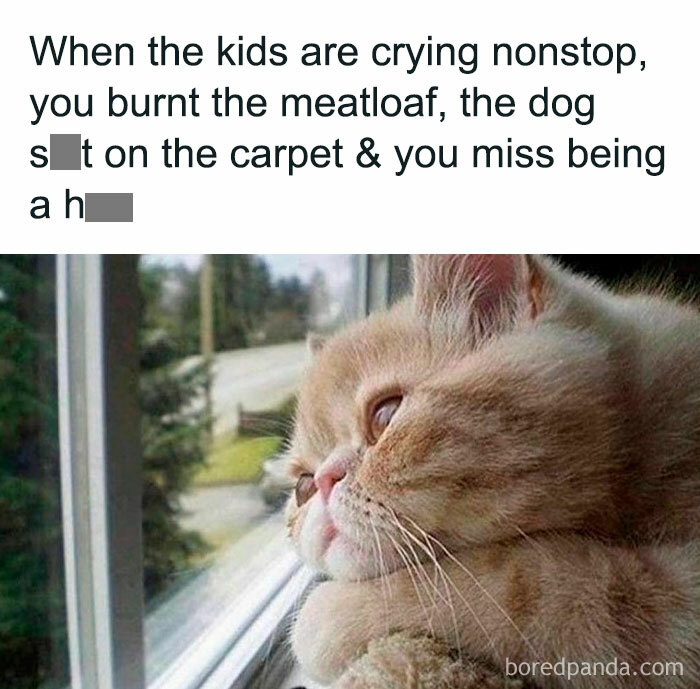 Millennial-Moms-Confession-Memes