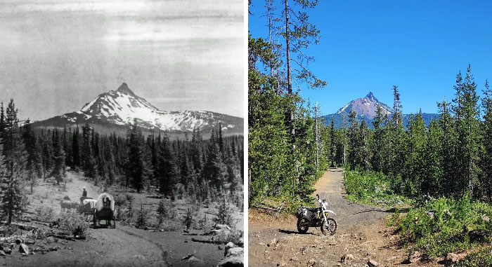 Tried My Best To Find The Same Location. Satiam Wagon Road, Oregon. 2022 vs. Date Unknown. Road Was Used 1860-1930s