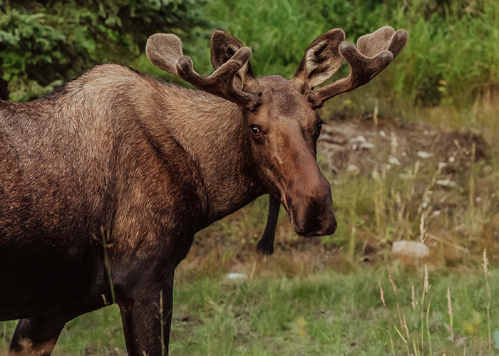 "Anti-Bucket List": 28 People Share What They Refuse To Try Even Once