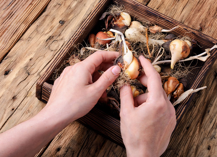 ¿Cuál es el dato más reconfortante que conoces?: Aquí hay 30 respuestas que mejorarán tu día