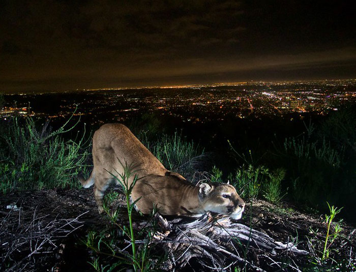 30 People Shared Shockingly Terrifying Things They’ve Experienced That Still Keep Them Up At Night