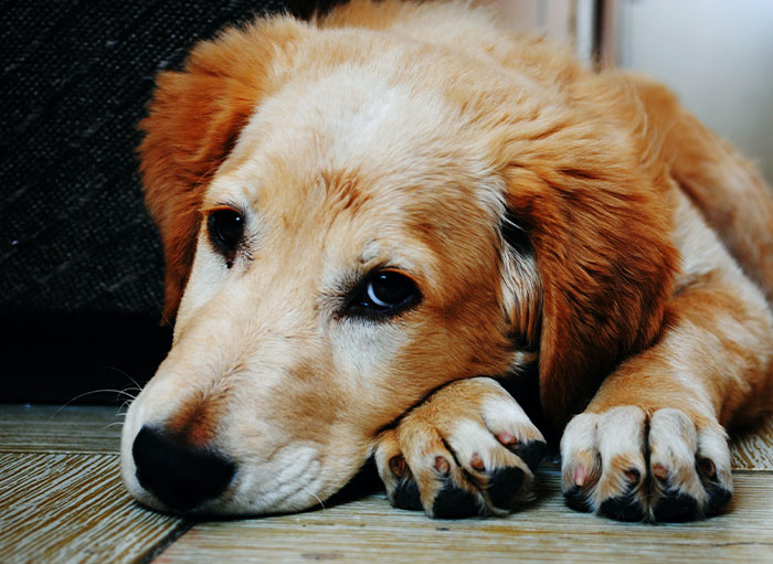 45 Of The Most Unsettling Secrets People Have Revealed About Themselves In This Online Thread