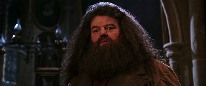 Harry Potter - Robbie Coltrane