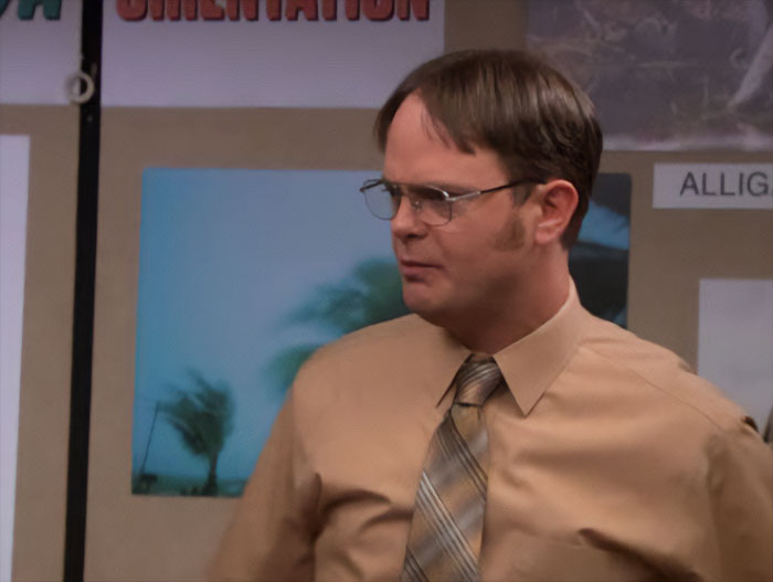 The Office - Rainn Wilson