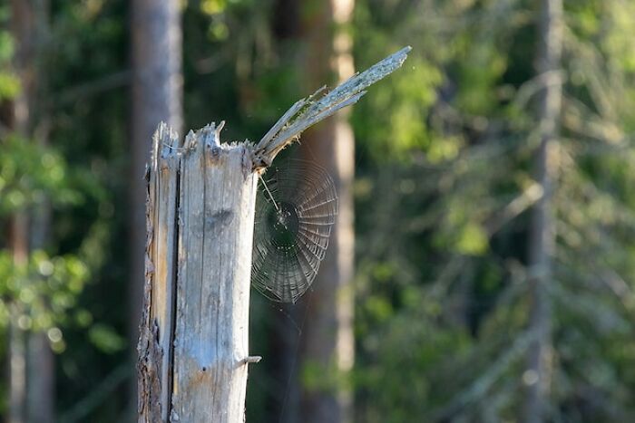 Someone Asked “What’s A Subtle Sign That Someone Is A Good Person But Doesn’t Want To Show It?” And 30 Folks Delivered