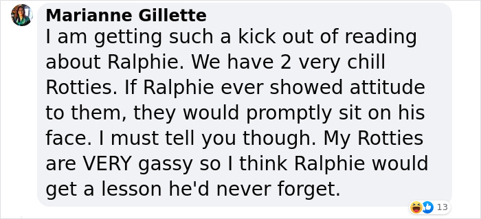 Animal Shelter Can't Say Much Good About This French Bulldog So They Make Up A Great Post Exposing His Shortcomings In Detail