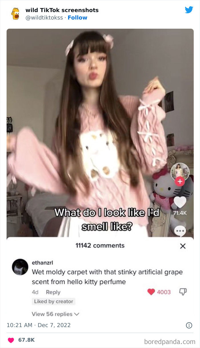 Wild-Screenshots-From-Tiktok