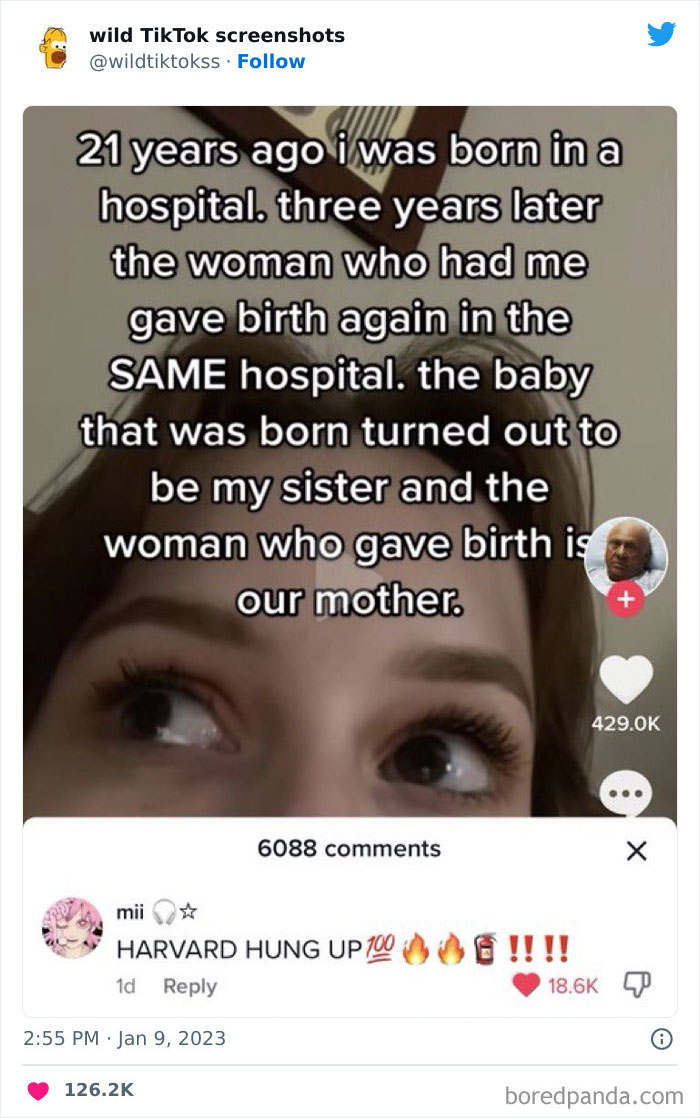 Wild-Screenshots-From-Tiktok