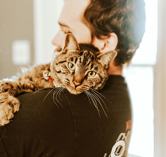 "Her Or The Cat": Man Asks For Advice After Wife Who Went Through Stillbirth Refuses To Allow His Beloved Pet Back In The House