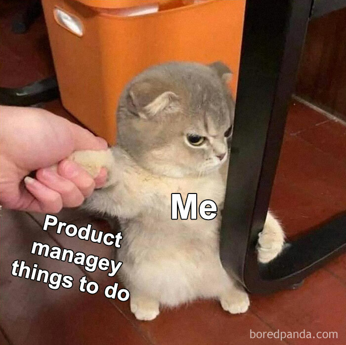 A frustrated cat labeled Me resisting product manager problems while holding onto a table leg.