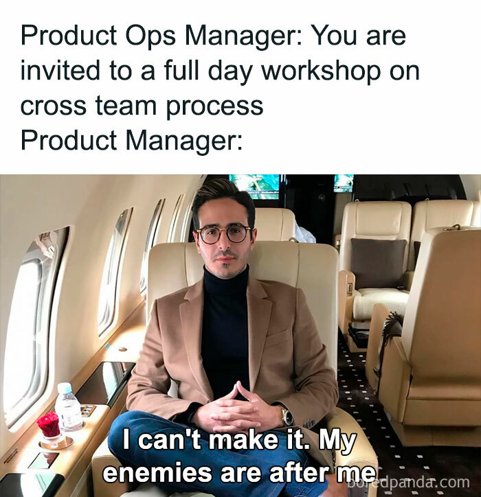 Product manager humor showing frustration in a private jet, illustrating common product manager problems at work.