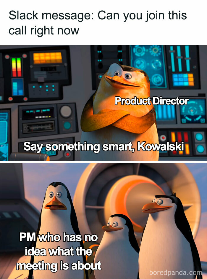 Scene from Penguins of Madagascar showing product manager problems with clueless PM and demanding product director in a meeting.