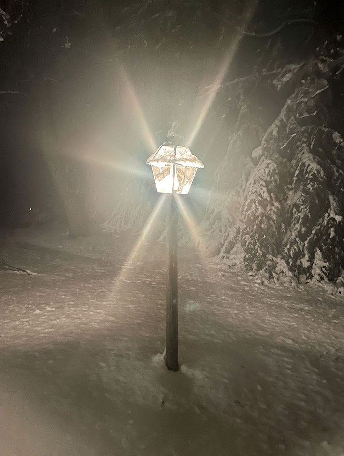 My Lamp Post In The Snow Looks Like A Scene Out Of Narnia