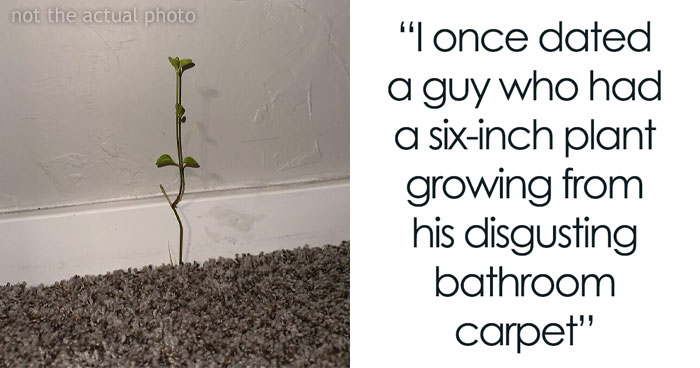 Women Are Sharing The Worst Things They’ve Seen In Guys’ Apartments That Instantly Set Off ‘Red Flags’ For Them (30 Answers)