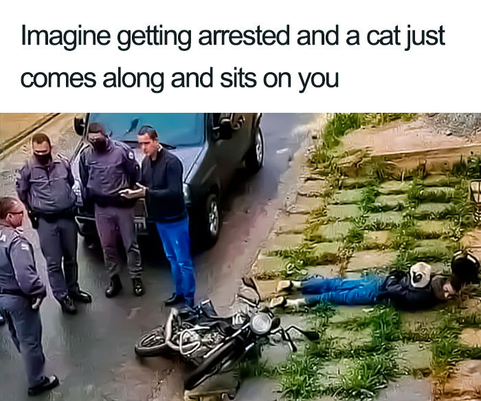 Relatable-Hilarious-Memes