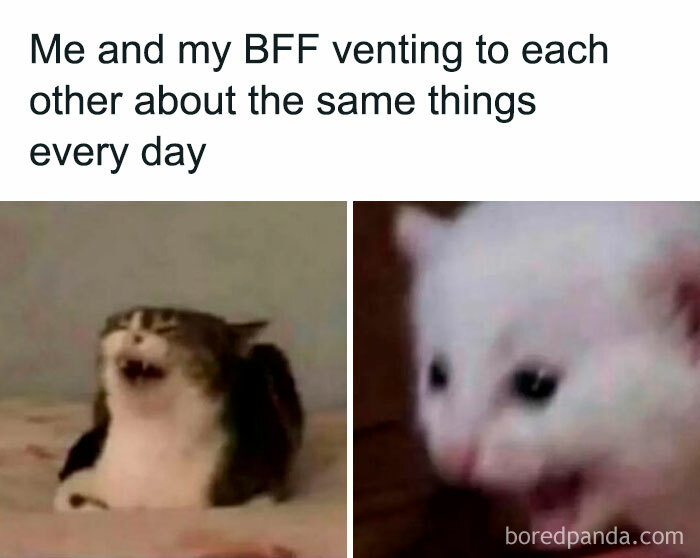 Relatable-Memes-Female-Club