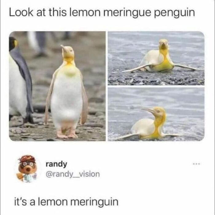 Relatable-Memes-Female-Club