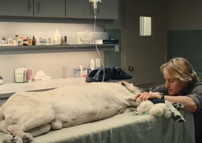 40 Fictional Characters Whose Deaths Were So Devastating, People Can't Get Over Them