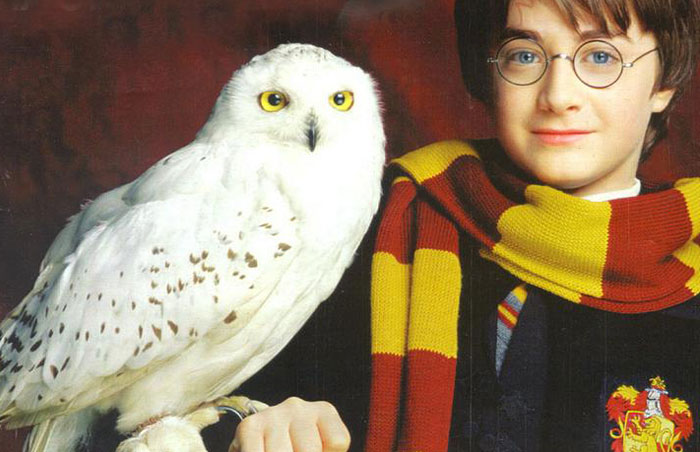 40 Fictional Characters Whose Deaths Were So Devastating, People Can't Get Over Them