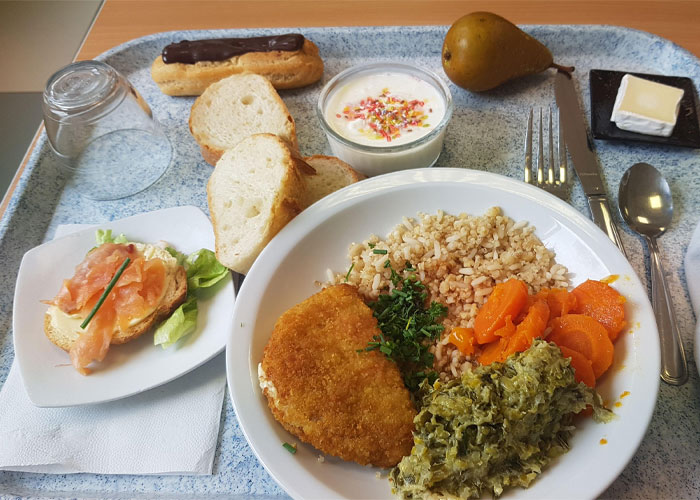 Plate with rice, vegetables, chicken and bread with fruit and desert