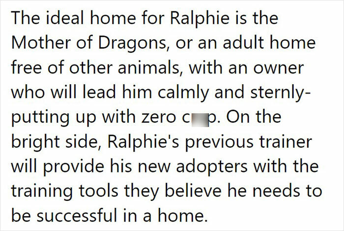 Animal Shelter Can't Say Much Good About This French Bulldog So They Make Up A Great Post Exposing His Shortcomings In Detail