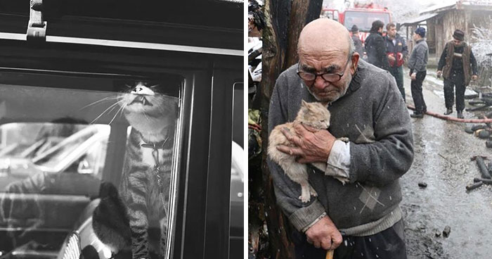 Instagram Account Shares Beautiful Photos Taken On The Street Or In Public Places (30 New Pics)