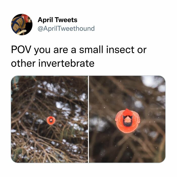 Tastefully-Offensive-Tweets