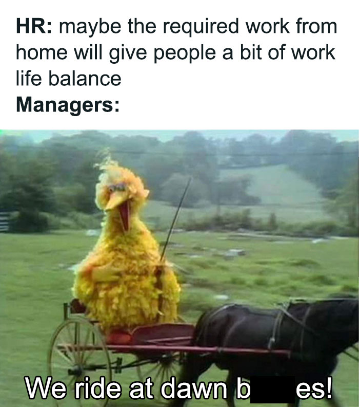 Big Bird in a horse-drawn cart, comically representing a manager's intense response to HR's work-life balance idea.