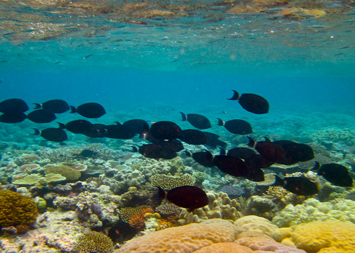 50 Disappointed Tourists Share Travel Destinations From Around The World That Aren't Worth The Hype