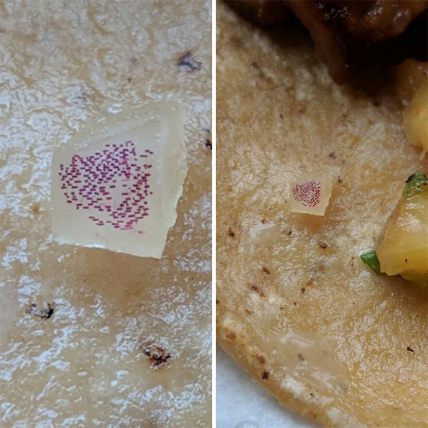 This Onion In My Taco Looks Like Digital Art