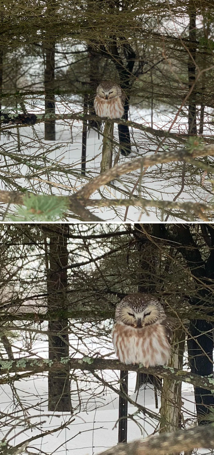 Sweet Baby In My Front Yard