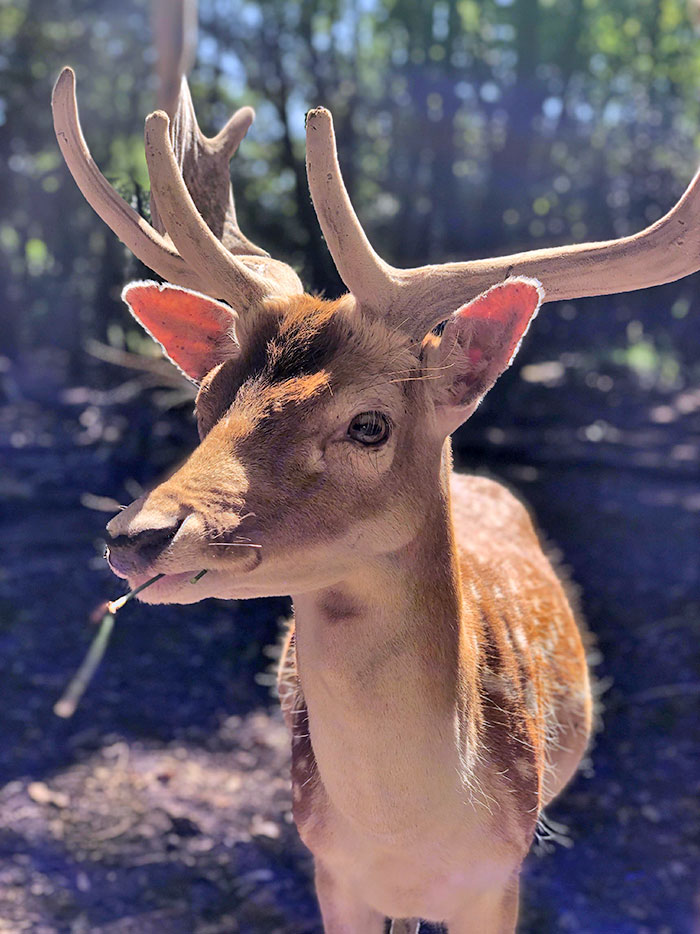 The Cute Encounter I Had Today