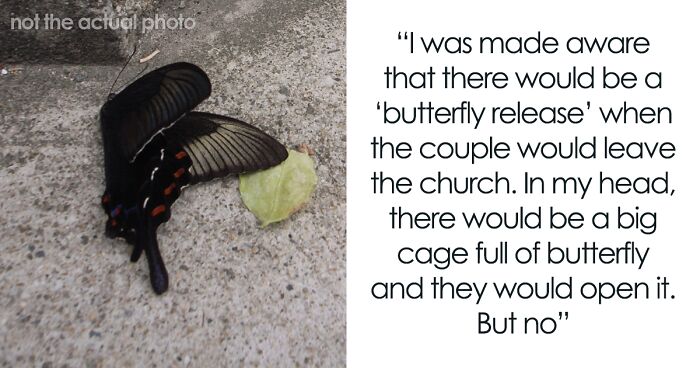 People Online Are Applauding This Wedding Photographer’s Views On Live Animal Use During Celebrations