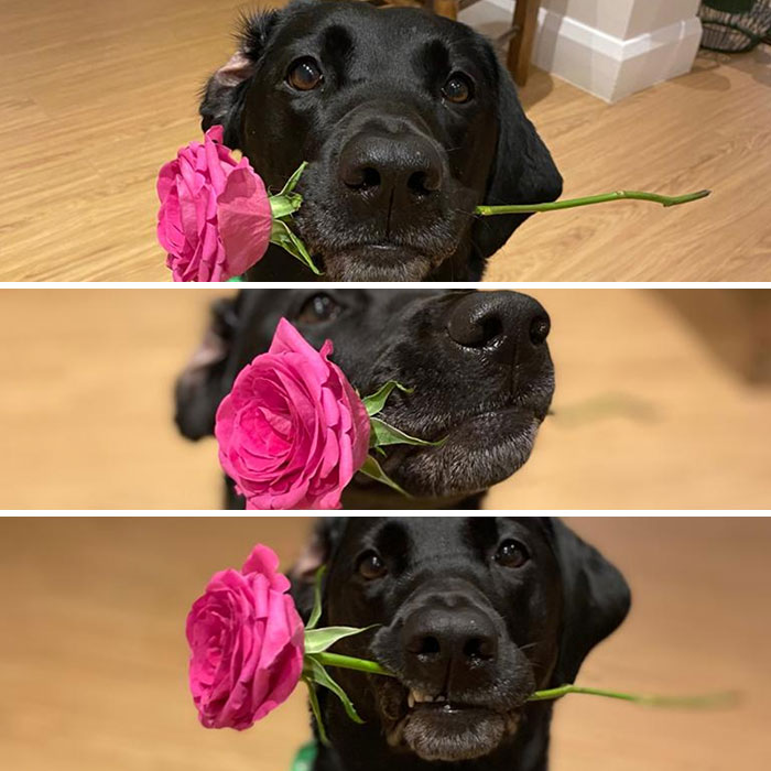 Breakin' Hearts Since 2017. Happy Valentine's Day