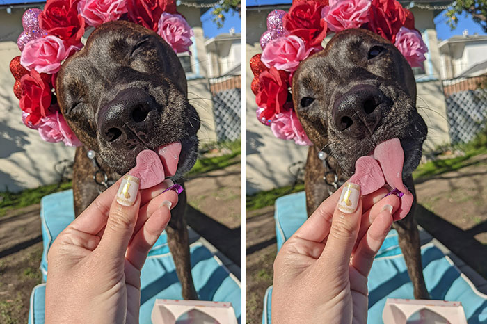 Happy Valentine's Day