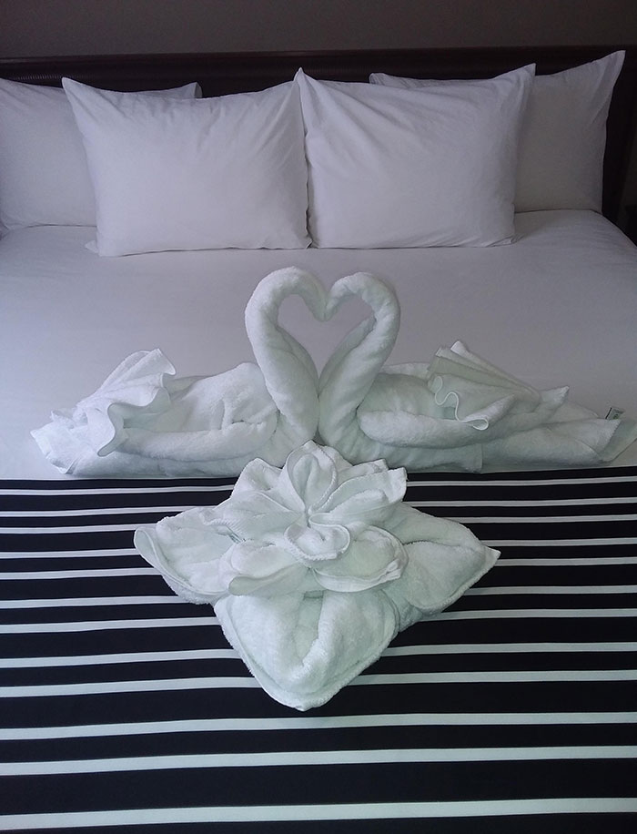 Made These At Work Today. I Work At A Hotel, For Some Lucky Couples. Valentine's Day Surprise