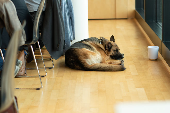 People Who Work In HR Anonymously Share The Biggest Office Scandals They’ve Had To Deal With, And Here Are 30 Of The Wildest Ones