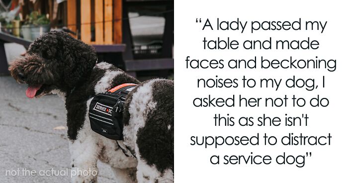 Karen Thinks This Person Has A “Fake” Service Dog, Gets Put In Her Place