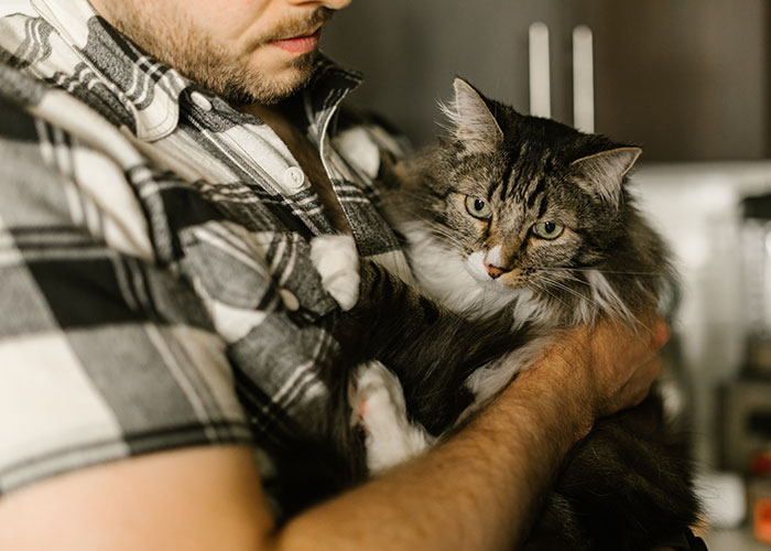 Woman Asks If She's Wrong For Not Allowing Her Unemployed And Homeless Boyfriend To Move In With Her