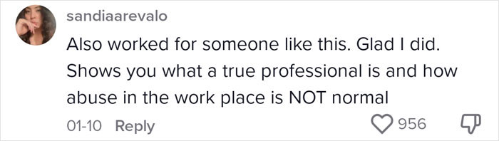 Woman Shares How Different Millennial Boss Is Compared To Gen X Or Boomer Ones, Urges Everyone To Find One To Work For Woman Shares How Different Millennial Boss Is Compared To Gen X Or Boomer Ones, Urges Everyone To Find One To Work For
