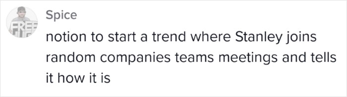 TikTok Is Absolutely Loving This Employee Who Had The Guts To Call Out Boss In Front Of Everyone On Zoom And Then Quit