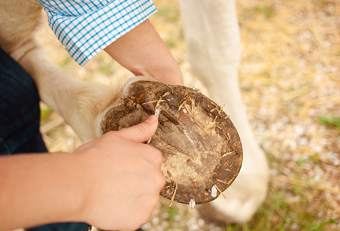 “I’ve Had 6 Lung Infections In The Past Year”: 30 People Reveal The Biggest Downsides To The Careers They Chose